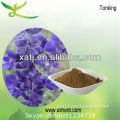 bulk chia seed powder wholesaler